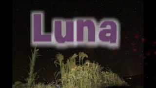 Luna  (Julio Vicente)