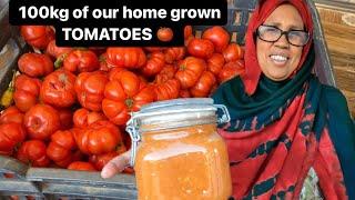 We spent 8HOURS COOKING 100kg of TOMATOES for food storage | FARM LIFE IN HARGEISA SOMALILAND 2024