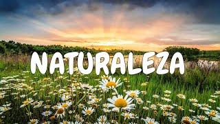 Naturaleza hermosa, paisajes y flores | Landscapes