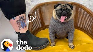 These Pet Tattoos Are Incredible — And Each One Tells A Story | The Dodo