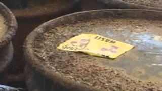 Liquid Fluoride Thorium Reactor - Thorium Nuclear Energy - Revolutionary Energy Source