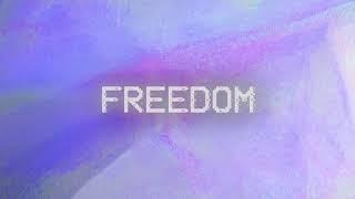 Freedom in the Kingdom (Lyric Video) | Carson Wagner