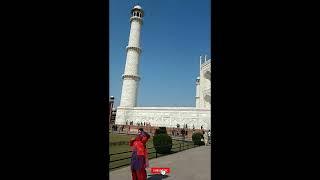 Agra #Tajmahal #short #Viral #Trending #Chepur traveller