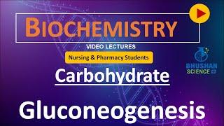 PART 36 - Gluconeogenesis - Nursing and Pharmacy Online Class bhushan science