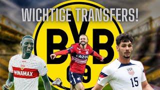 Diese Transfers braucht der BVB ! ️🟡