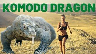 Komodo Dragons Facts |  Komodo Dragons Venom | Komodo Dragons For Kids