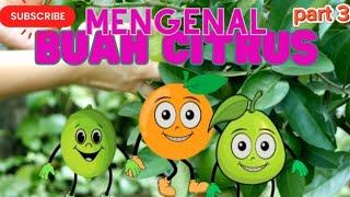 "Mengenal buah buahan citrus"| Edukasi anak anak #buah #belajarbuah #education #fruit #videoforkids