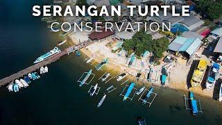Serangan Island : Turtle Sanctuary and Seafood Delicacies