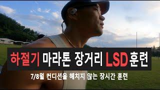 가을 마라톤 시즌을 대비한 몸을 헤치지 않는 혹서기 장거리 LSD 훈련