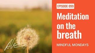 Meditation on the breath | Everyday Alex 099 | Mindful Monday