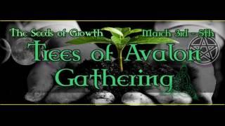 Trees of Avalon Gathering