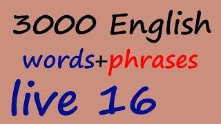 Learn English words and sentences with translation meaning in Hindi, Urdu Full Course 16