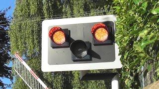 Level Crossing - Sydney Parade Station, Dublin