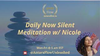 Daily Now Silent Meditation w/ Nicole (day 169)