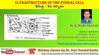 Fungi- Cell structure By Dr. Hari Prasad Kante