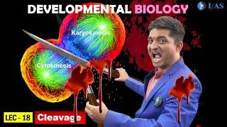 CSIR NET JUNE 2025 I Developmental Biology I Lecture 18 I Cleavage Mitosis Cytokinesis Karyokinesis