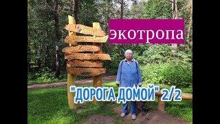 Экотропа "Дорога домой" Пермь (2/2) Черняевский лес. 9 авг 2019