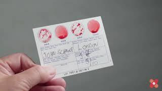 How to use an Eldoncard Blood Type Test