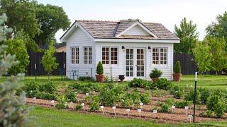 Results of Overwintering Dahlias in the Ground in Zone 6 + Planting More of Them! 