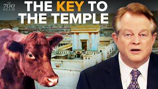 Why Israel’s 5 Red Heifers Are So Important To End Times Prophecy