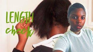 1 Year Post BIG CHOP|+Clipping my Ends|NellB