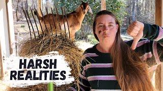 The Down Side Of Farming | Harsh Realities Of Farm Life