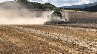 WHEAT HARVEST 2020 | Rothamsted Research