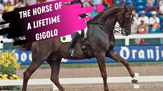 The Horse Of A Lifetime: Isabell Werth & Gigolo Grand Prix Dressage Warm-Up  Aachen