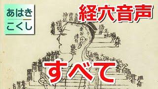 経穴 暗記用音声 14経脈 すべて  [あはきこくし]