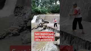 Spot idaman yang sering di kunjungi para pemancing #mancing #fishing  #shortvideos