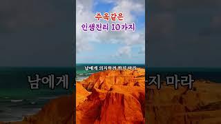 주옥같은 인생진리 10가지 #인생명언 #지혜 #좋은글 #인생한줄