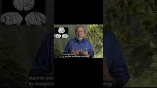 Thinking is Energy - Energy is Money - Use It Wisely | Bruce Lipton