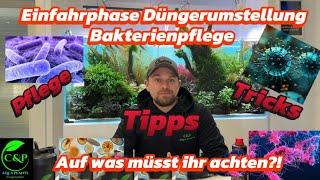Einfahrphase Düngeumstellung im Aquarium! Alles Wissenswerte über Eure Bakterien u. Bakterienpflege