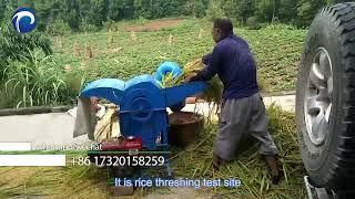 Farmer good tool! wheat thresher / rice paddy thresher /how to thresh wheat and rice /rice threshing