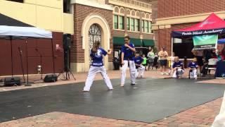 Vortexic Martial Arts Demo Part 2. Katy summerfest 2015