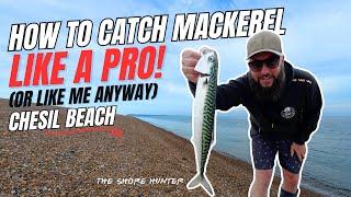 How to Catch Mackerel on Chesil Beach | The Best Tips & Techniques For Fishing For Mackerel 