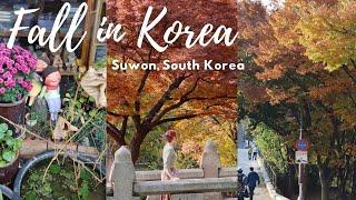 a fall day in my life in korea  | traveling to suwon, trying archery, making new friends, etc