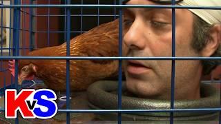 Who Can Keep Their Head In A Chicken Coop? - Kenny vs. Spenny (4K)