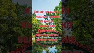 Зерно невидимо в земле, а только из него вырастает огромное дерево #shorts #мудрость