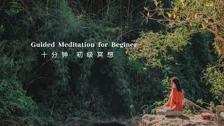 十分鐘冥想 Guided Meditation For Beginner 初級冥想