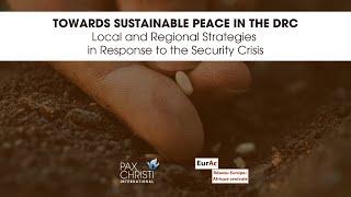 Webinar “Towards Sustainable Peace in the DRC"