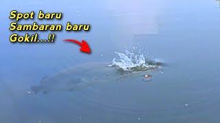 Spot baru Gokil...!! Samabaran bertubi tubi