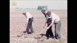 Farming in the 1960s