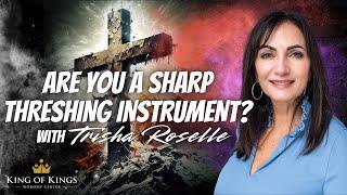 11/10/2024 Trisha Roselle: Are You a Sharp Threshing Instrument?