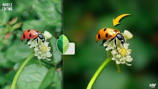 Create Flawless DYNAMIC BLUR & CHANGE COLORS in Snapseed App | Android | iPhone