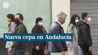 Andalucía confirma la presencia de una nueva variante con mayor capacidad de transmisión