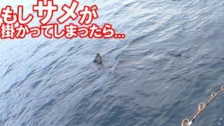 【相模湾キハダ】サメが掛かってしまったときの最速対処法！