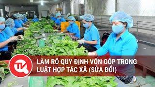 Làm rõ quy định vốn góp trong Luật Hợp tác xã (sửa đổi) | Truyền hình Quốc Hội Việt Nam