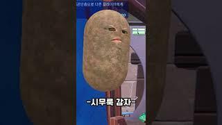 유형별 감자 특