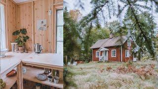 ONE YEAR PROGRESS Interior Designer Renovates Old Cabin (Story 31)